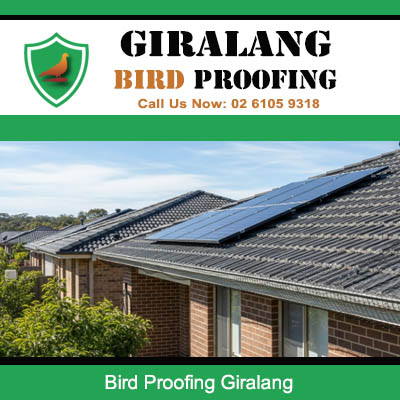 Bird proofing mesh installed under solar panels on residential roof in Giralang